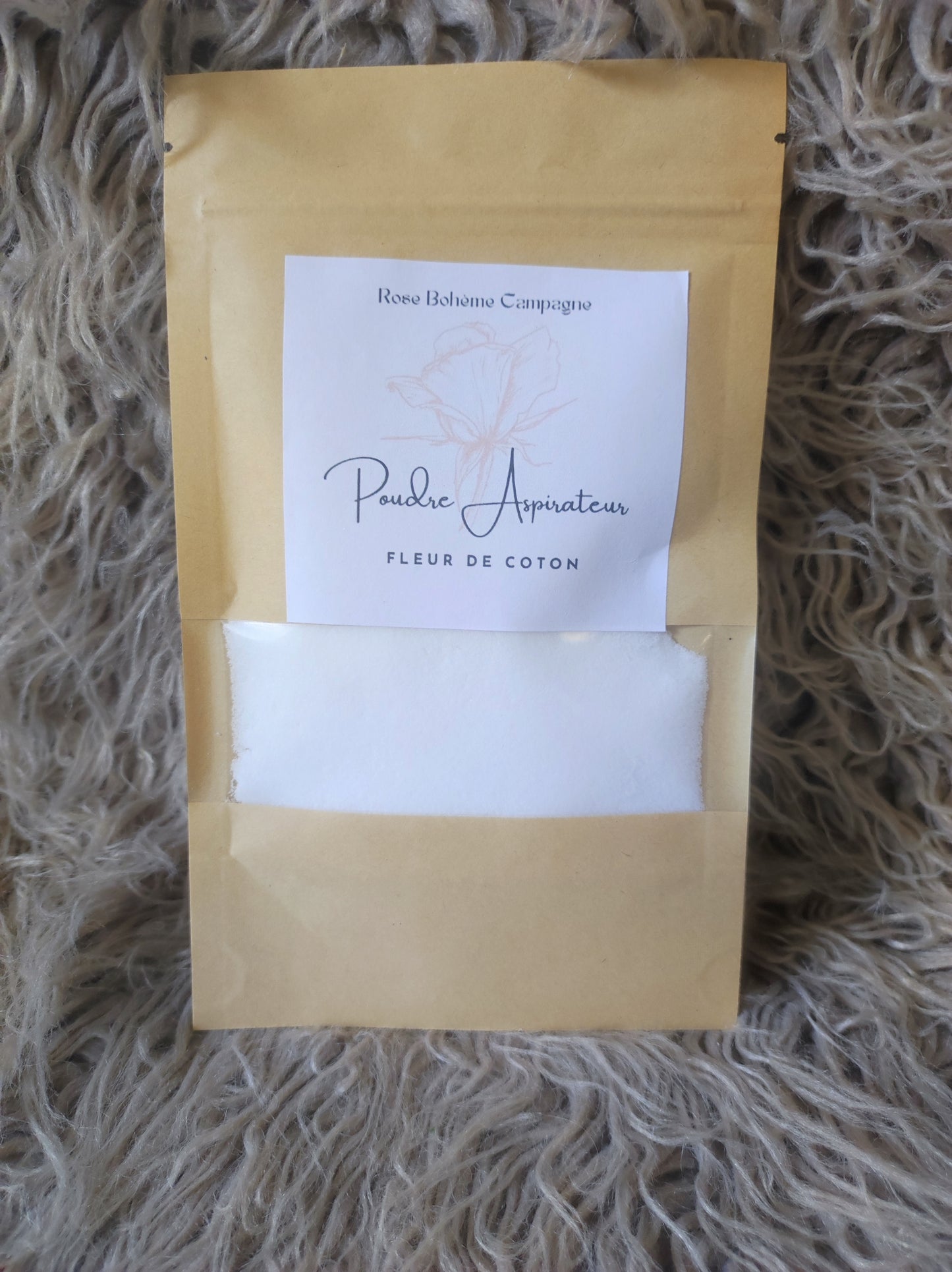 Poudre aspirateur
